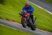 PJ-Motorsport-2019;anglesey;brands-hatch;cadwell-park;croft;donington-park;enduro-digital-images;event-digital-images;eventdigitalimages;mallory;no-limits;oulton-park;peter-wileman-photography;racing-digital-images;silverstone;snetterton;trackday-digital-images;trackday-photos;vmcc-banbury-run;welsh-2-day-enduro